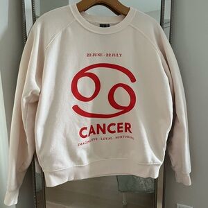 Sold Out Anthropologie Sweatshirt with Design by Catherine O’Sullivan